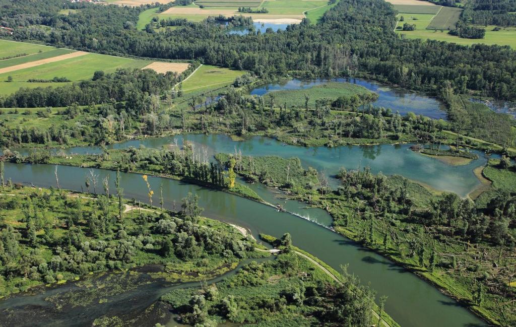 Ökologischer Hochwasserschutz mehr Raum für die Donau