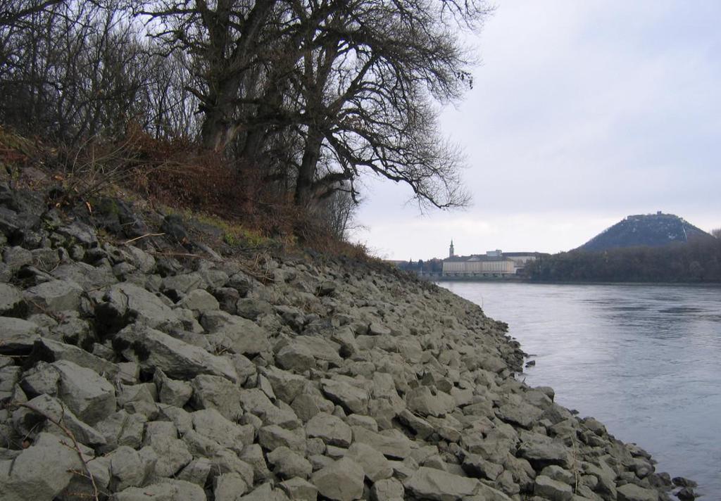 Weiche Ufer als ökologische Aufwertung der Donau Vor