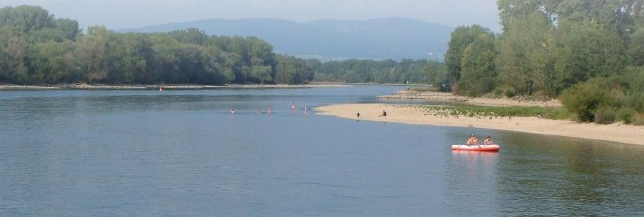Die ökologische Aufwertung der Donau Fließgewässer und die sie begleitenden Auen sind das ökologische Rückgrat unserer Landschaften Beifall umrauschte Aussage von Minister Thomas Goppel (CSU) am 7.