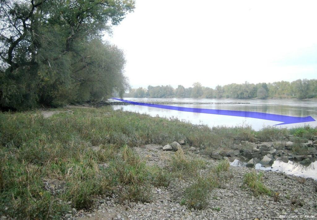 Ansätze zu einer ökologischen Aufwertung der Donau
