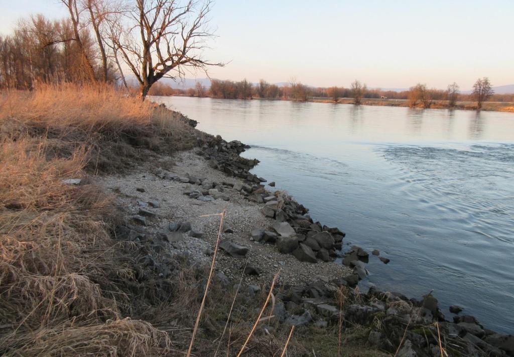 Ansätze zu einer ökologischen Aufwertung der Donau