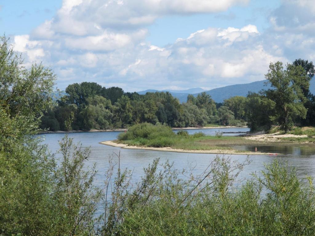 Geretteter Flussabschnitt der Donau