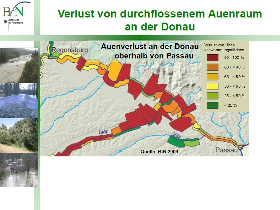 Die ökologische Aufwertung der Donau Umsetzung der WR-RL und FFH-RL - wo und wie?
