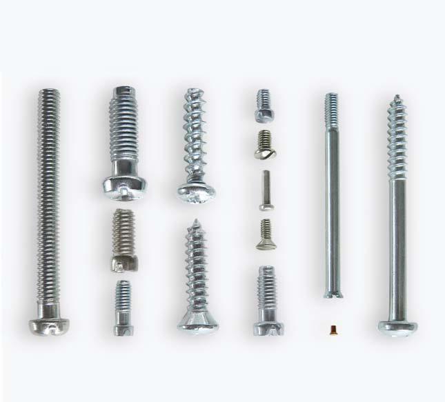 SPECIALIZED MANUFACTURER OF SCREWS WITH COLD FORMING TECHNOLOGY SPECIALIZED MANUFACTURER OF SCREWS WITH