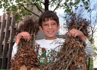 S 12 M 6 Bäume pflanzen statt reden Plant-for-the-Planet Wie alles begann 5 10 15 20 Als Felix Finkbeiner 9 Jahre alt ist, hält er in der Schule ein Referat über den Klimawandel.