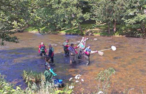 10 WALDKIRCH Elztäler Wochenbericht Mit der elektrischen Abfischung der Elz kann der Fischbestand des Elz-Abschnitts genau aufgenommen werden.