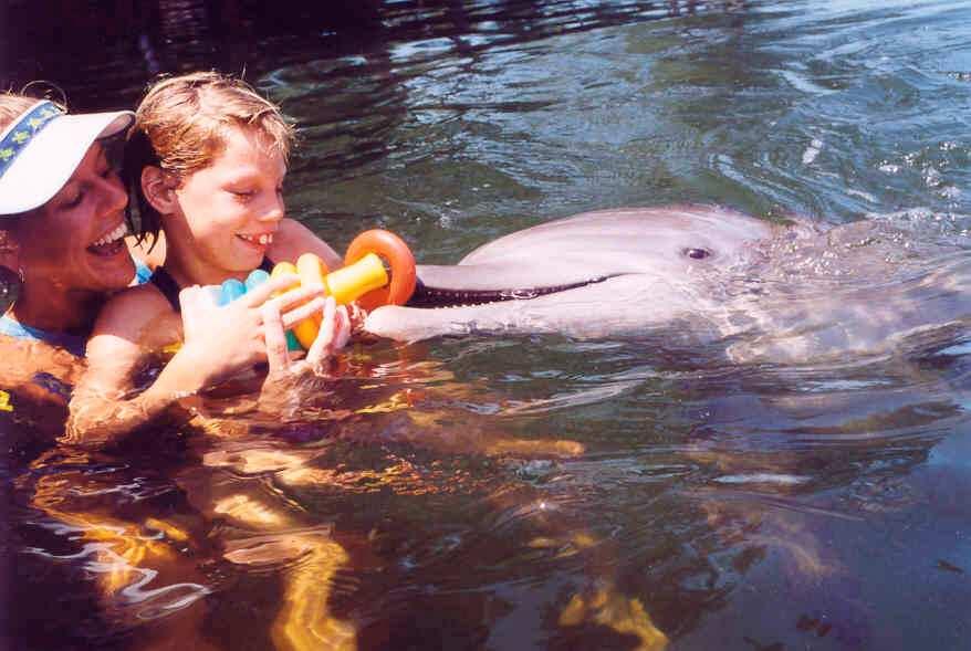 Der Verein dolphin aid e. V. 1995 gründete Kirsten Kuhnert in Düsseldorf den Verein dolphin aid e. V. mit dem Ziel, Familien bei der Realisierung einer Delphintherapie zu unterstützen.