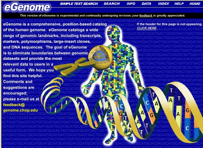 n Kartierungsdatenbank egenome egenome: Beispiel n Z.Z. mehr als 135.000 DNA-Marker (Nov.