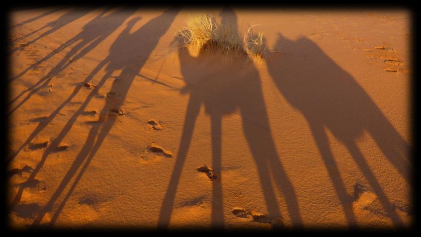 7.10.2012, vom Wüstencamp zurück nach Merzouga Bereits im Morgengrauen gehts