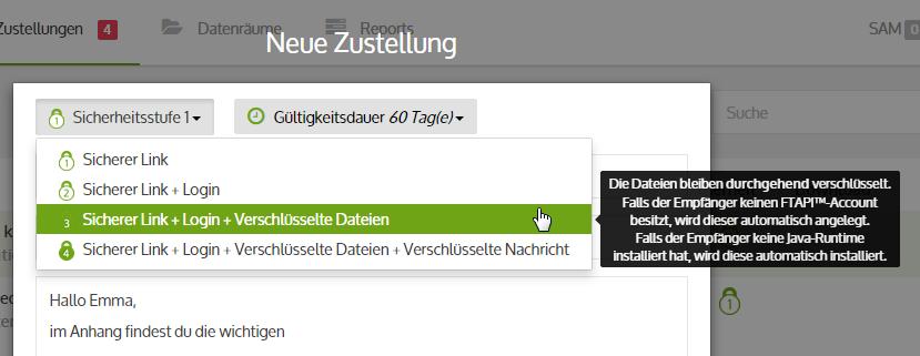 3 Sicherheitsstufe festlegen Vor dem Versand können Sie nun wählen, wie sicher Ihre Zustellung verschickt werden soll.