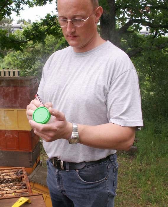 Auswaschung einer Bienenprobe (Teil I) -