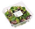 jungen Salatblätter in bester Qualität an. Auf den Saatplatten werden die verschiedenen Salatsorten zweimal wöchentlich eingesät, damit die ganze Saison über abgeerntet werden kann.