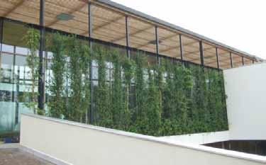 4 Nr. 6 November 2009 Grünpflanzen beim Neubau der Grundschule zu einem Gesamtpreis von 3.738,00 zuzgl. MwSt. beauftragt.
