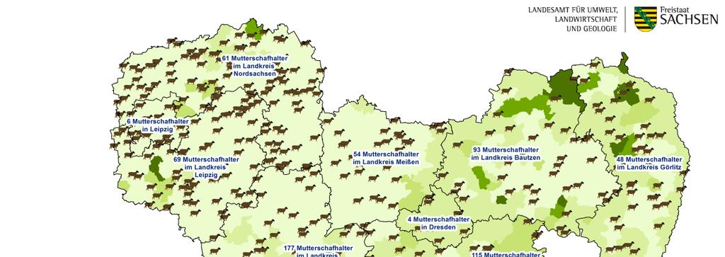 Schafhaltung im Freistaat Sachsen Lange Tradition Räumlich verteilt im ganzen Land Herdenhaltung Kleinschafhaltung >100MS Schafhaltung ist