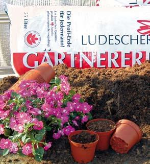ltr á 7,60 Ludescher Surfinia-Dünger, 1 ltr á 6,99 Ludescher Zitrus-Dünger, 250 ml á 4,40 Ludescher Orchideen-Dünger, 250 ml á 4,40 Ludescher Hortensien-Dünger, 500 m á 5,60 Chrysal Hortensien-Blau,