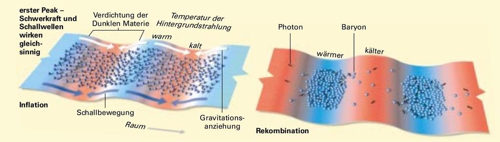 Auswertung Photonen+Baryonen bilden Plasma Alle möglichen