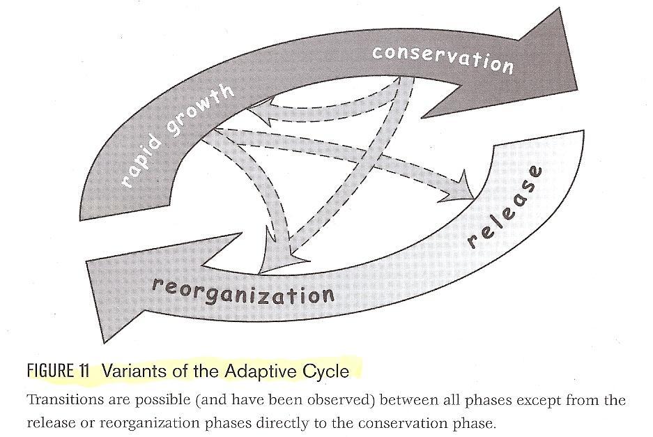 Adaptive Zyklen