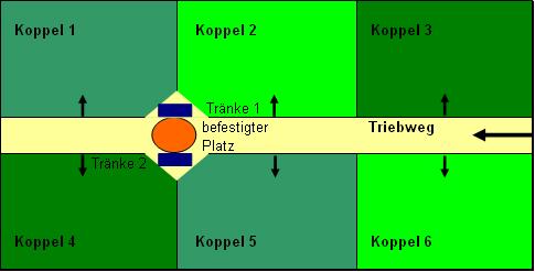 Ruhezeit: abhängig vom täglichen Graszuwachs Frühjahr: etwa alle 15-20 Tage Sommer und Herbst: alle 25-35 (42)