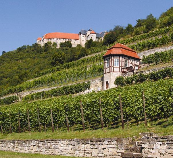 2 Romanik & Wein Wochenendarrangement Die Saale-Unstrut-Region ist berühmt für ihre Burgen, Schlösser und Kirchen.