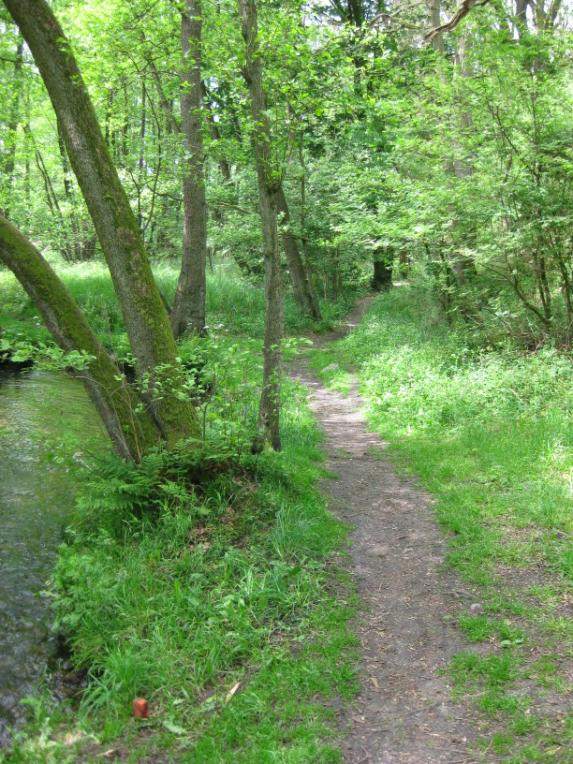 hauptsächlich aus Waldboden teilweise Sitzgelegenheiten vorhanden