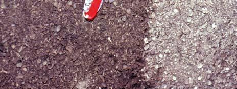 Kompostqualität Abbaugrad,