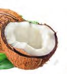 LOWCARB* KOKOS RIEGEL mit Süßungsmittel 100 % Natur - Getreidefrei - Vegan 30g * um 80% reduzierter Kohlenhydratanteil Zutaten: 45% Kokosraspel, Kokosfett, Süßungsmittel: Xylit; Kokosmehl teilentölt,