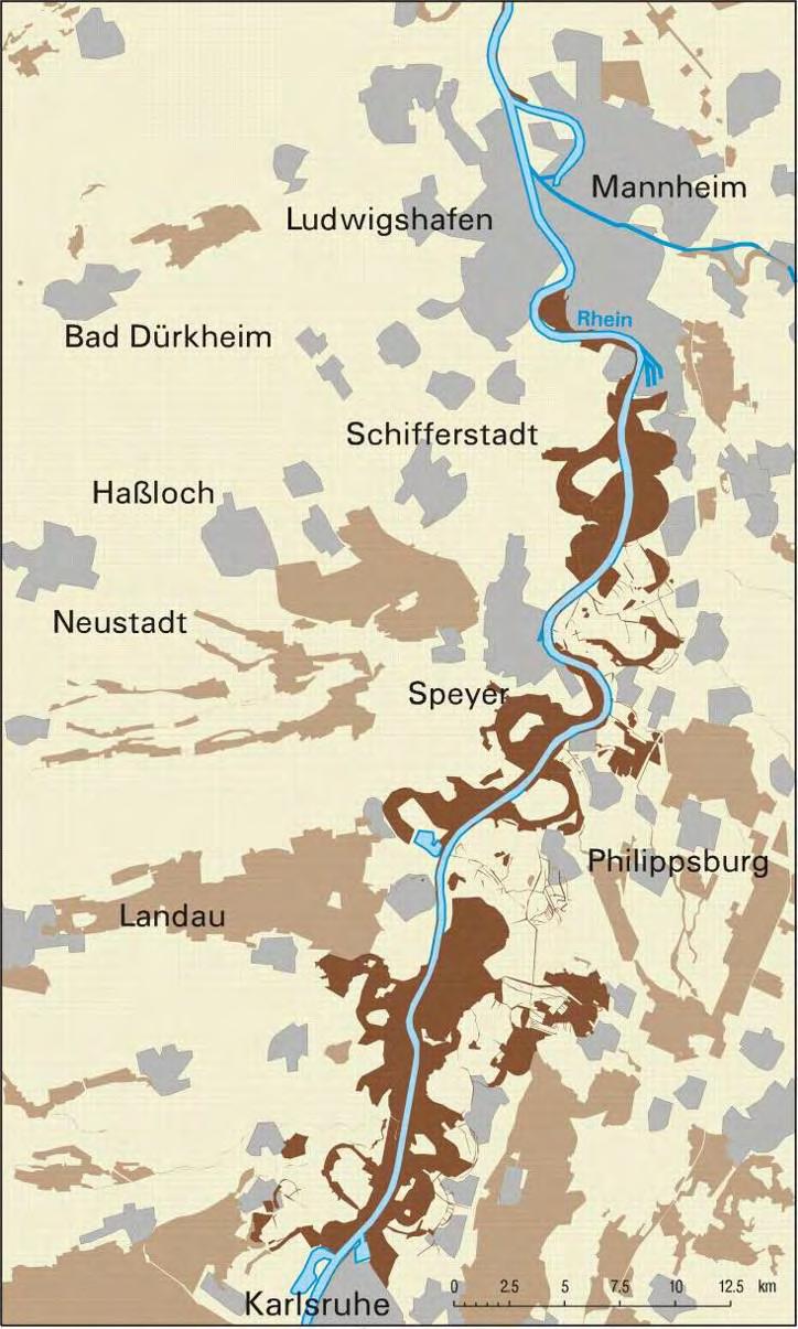 Auen und Natura 2000 51 % der rezenten Flussauen sind Natura-2000 Gebiete Quelle: