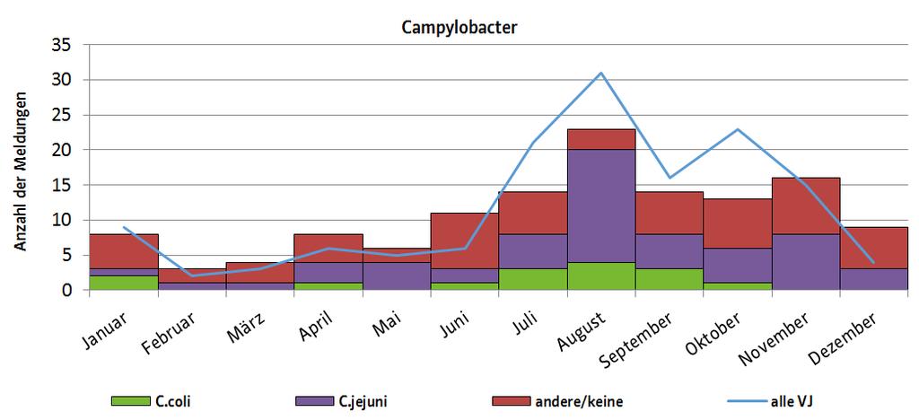 Abbildung 1 Gemeldete Campylobacter-Infektionen nach Erregertypen in bis 31.12.