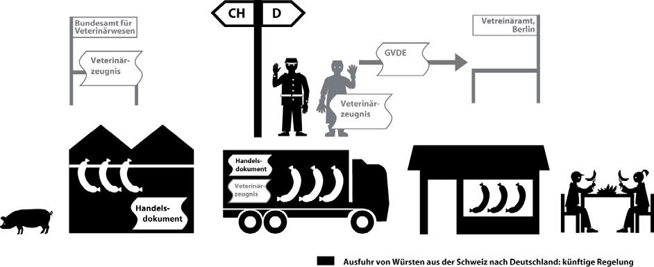 Grenzkontrolle durch den Zoll An der Grenze kontrolliert der Zöllner die TRACES-Dokumente. Hat er Zweifel etwa an der Echtheit, informiert er die Veterinärbehörden.