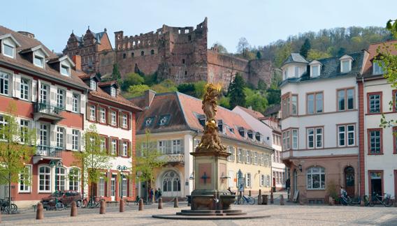 nimmt Heidelberg darin den breitesten Raum ein.