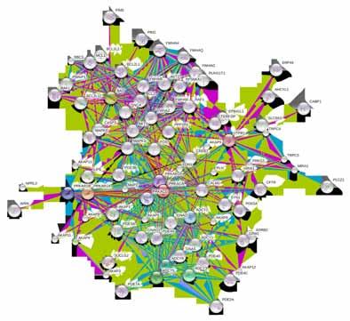 künstlich designten) Bindemolekülen geht.