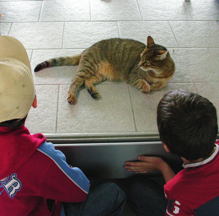 Der Tierschutzverein für Berlin und Umgebung Corporation e.v. möchte gemeinsam mit Eltern, Schulen, Kindertagesstät ten und Freizeiteinrichtungen den Tierschutzgedanken ver breiten.