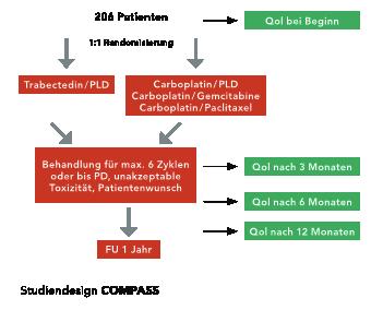 Ausgabe 6-2017 7 Geplante Studien: Ovarialkarzinom FRAGILITY-Studie (Fokus_Fragile Patientin unter Chemotherapie) Identifizierung des präoperativen frailty-scores ( Schwäche-Scores ) bei