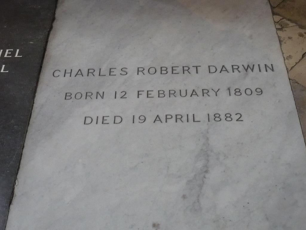 Darwins Garten Abenteuer Evolution 17 Charles Darwin starb am 19. April 1882 im Alter von 73 Jahren.