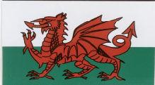 Do. 11. Juni So. 14. Juni 2009 Die Flagge von Wales ist The Red Dragon (Der Rote Drachen) und besteht aus einem roten Drachen auf einem grün-weißen Feld.