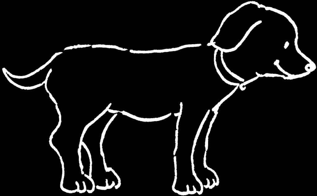 Der Hund Lesetext KV 1 Name: Datum: Der Hund Der Hund stammt vom Wolf ab. Er bringt lebende Welpen zur Welt.