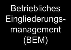 Gesundheitsmanagement (BGM)