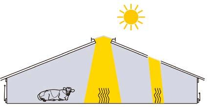 3 Mit Licht mehr Leistung Warum ein breiter Lichtfirst? Licht ist ein wesentlicher Bestandteil für die Milchproduktion und die Gesundheit der Tiere.