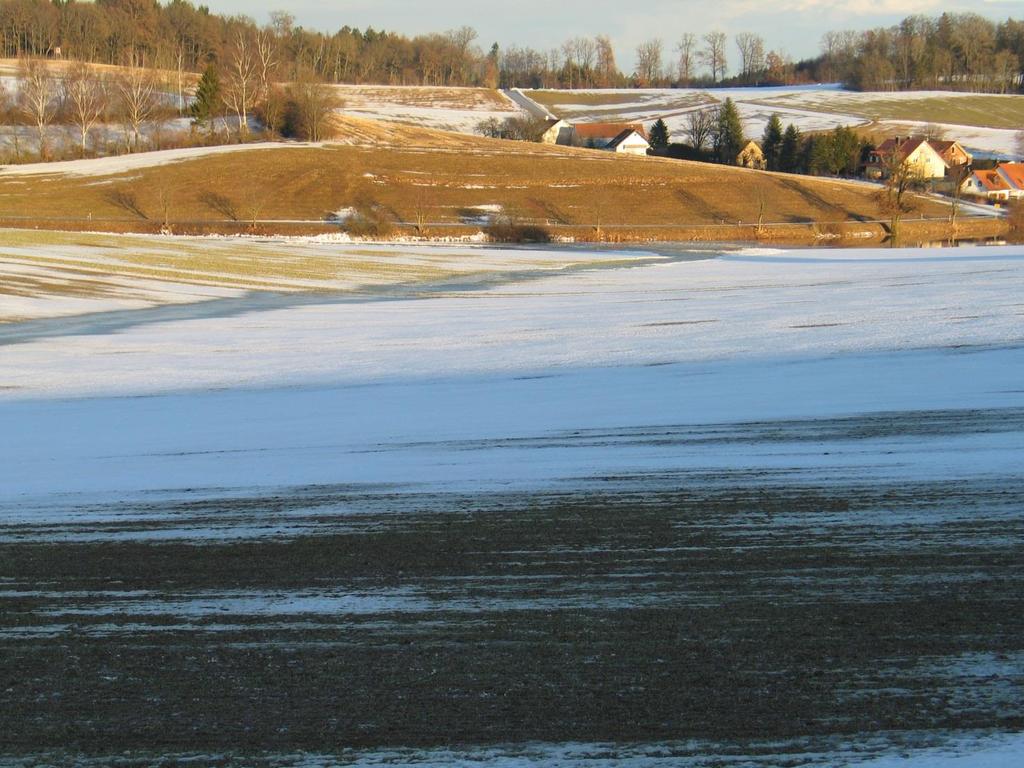 Schneebedeckter