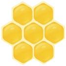 Weitere Informationen zu den vielen Bienenarten und Futterpflanzen für die Bienen finden Sie unter www.umweltberatung.at/bienen So geht s!