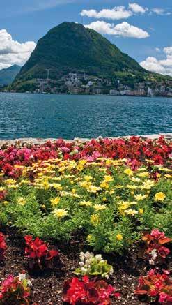 Interlaken Ost) Rundfahrt Jungfraujoch (Grindelwald Kleine Scheidegg Jungfraujoch Lauterbrunnen Grindelwald) Postautofahrt über Große Scheidegg Führung in der Grimselwelt Gelmerbahn Dampfbahn