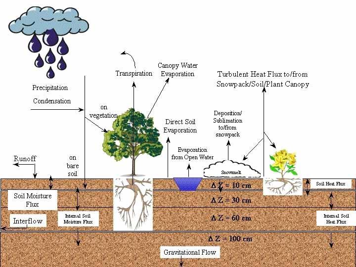 Soil-Vegetation-Atmosphere-Transfer (SVAT) Modell als untere Randbedingung (an jedem