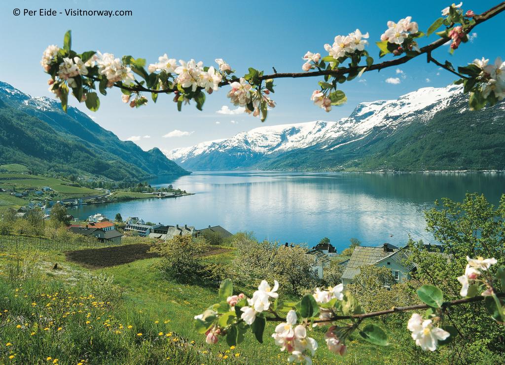 Touristenmagneten Norwegens schlechthin.