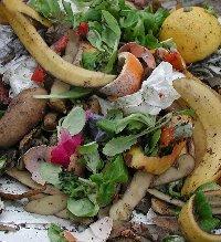 Biogene Abfälle Bioabfall aus dem Haushalt Obst- und Gemüseabfälle, alte Nahrungsmittel, Blumen