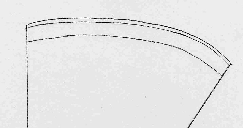 Schwertlilie (Iris germanica) Wurzelquerschnitt Übersichtszeichnung