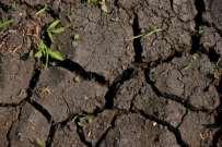 Drösler 7 Moorgrünland nachhaltig nutzen Moorböden degradieren irreversibel, wenn sie
