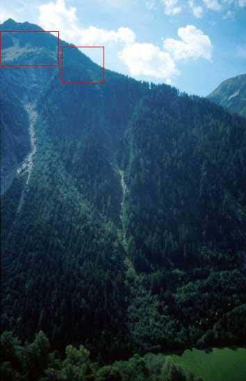 Verhältnisse in Sturzbahn und Ablagerungsgebiet Die Sturzbahnen der Lawine sind als felsige Runsen ausgebildet, beinhalten diverse Richtungsänderungen und weisen Totholz und eine typische