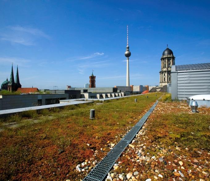 Auf dem Weg zur Schwammstadt Berlin Speichern, versickern, verdunsten schützt und macht attraktiv Jahrhundertregen im Juni: Unsere Systeme funktionieren Regen planend mitdenken: KURAS wird Praxis