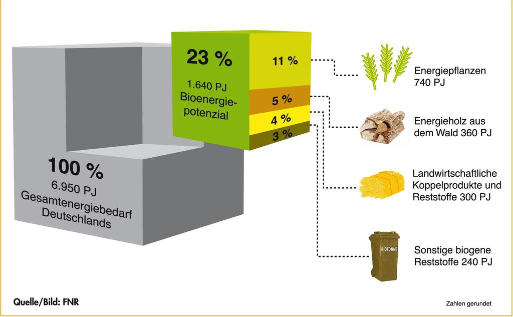 Heimische Bioenergie: was kann sie 2050 leisten?