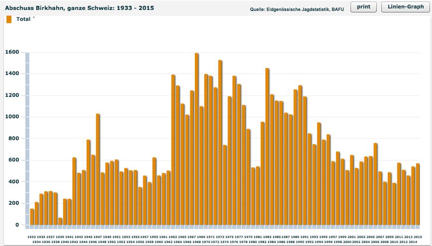 In den letzten drei Jahren nahmen die Abschüsse zu von 370 auf 427 auf 543. Das ist deutlich. Diagramm seit 1933 Birkhahn Das Gleiche trifft beim Birkhahn zu.